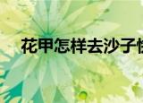 花甲怎样去沙子快（花甲去沙子的方法）