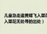 儿童急走追黄蝶飞入菜花无处寻的意思（儿童急走追黄蝶飞入菜花无处寻的出处）