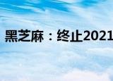 黑芝麻：终止2021年度非公开发行股票事项