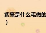 紫毫是什么毛做的笔（毛笔中的紫毫是什么毛）