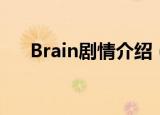 Brain剧情介绍（Brain电视剧的简介）
