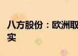 八方股份：欧洲取消了大量电机订单传言不属实