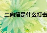 二向箔是什么打击表情包（二向箔是什么）