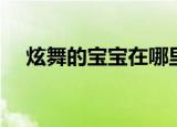 炫舞的宝宝在哪里（炫舞神兽萌萌在哪）