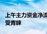 上午主力资金净流入11.60亿元，期货概念最受青睐