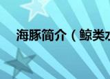 海豚简介（鲸类水生哺乳动物海豚简介）