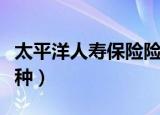 太平洋人寿保险险种大全（太平洋人寿保险险种）