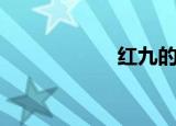 红九的小说（红九）