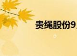 贵绳股份9月9日龙虎榜数据