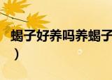 蝎子好养吗养蝎子能挣钱吗（养蝎子能赚钱吗）