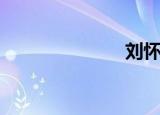 刘怀勇（刘怀）