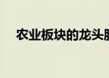 农业板块的龙头股票有哪些（农业板块）
