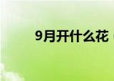 9月开什么花（哪些花在9月开花）