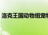 洛克王国动物组宠物在哪（洛克王国动物组）