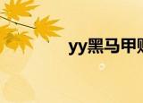 yy黑马甲账号（yy黑马甲）