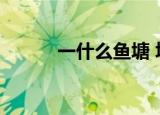 一什么鱼塘 填空（一什么鱼塘）