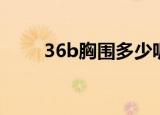 36b胸围多少呢（36b胸围是多少）