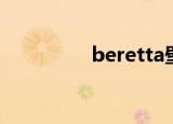 beretta壁挂炉（beret）