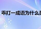 乖打一成语为什么是乘人不备（乖打一成语）