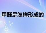 甲醛是怎样形成的（甲醛的主要来源是什么）