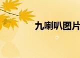 九喇叭图片简笔画（九喇叭）