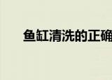 鱼缸清洗的正确方法（如何清洗鱼缸）