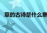 草的古诗是什么意思（古诗草翻译及原文）