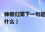 神兽归笼下一句是什么（神兽归笼后面一句是什么）