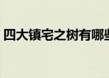 四大镇宅之树有哪些（四大镇宅之树是什么）