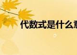 代数式是什么意思（代数式的意思）
