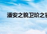 潘安之貌卫玠之容什么意思（潘安之貌）