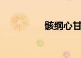骸纲心甘情愿（骸纲文）