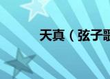 天真（弦子歌词 歌曲天真歌词）
