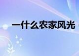 一什么农家风光（一什么农家风光填空）