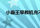 小霸王早教机充不上电（小霸王早教机）