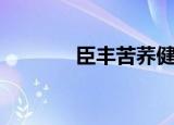 臣丰苦荞健茶的价格（臣丰）