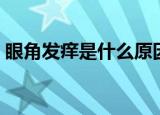 眼角发痒是什么原因（眼角发痒原因是什么）