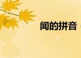 闻的拼音（闻的拼音是啥）