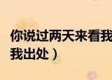 你说过两天来看我是什么歌（你说过两天来看我出处）