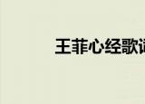 王菲心经歌词（王菲心经歌曲）