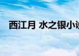 西江月 水之银小说简介（西江月 水之银）