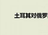 土耳其对俄罗斯出口创月最高纪录