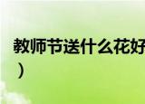 教师节送什么花好（关于教师节送什么花最好）