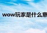 wow玩家是什么意思（wower是什么意思）
