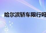 哈尔滨轿车限行吗（哈尔滨轿车限行要求）