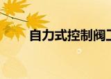自力式控制阀工作原理（什么原理）