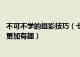 不可不学的摄影技巧（七个宠物摄影技巧 希望能让宠物摄影更加有趣）