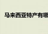 马来西亚特产有哪些（马来西亚特产介绍）