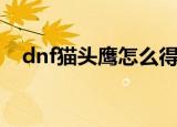 dnf猫头鹰怎么得（dnf猫头鹰获得方法）
