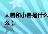 大暑和小暑是什么意思（大暑和小暑意思是什么）